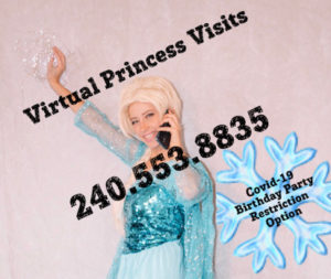Princess Video Parties, ZOOM Princess Party