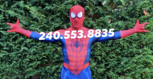 Rent a Spiderman for a Birthday Party