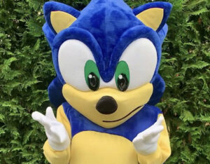 Rent Sonic The Hedgehog